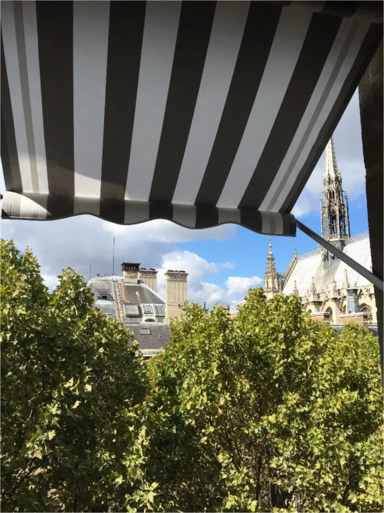 Projection awning